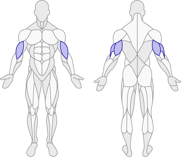 Shoulder